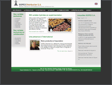 Tablet Screenshot of gopex-sa.com